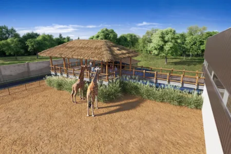 Zoo breaks ground on African Plains Pavilion